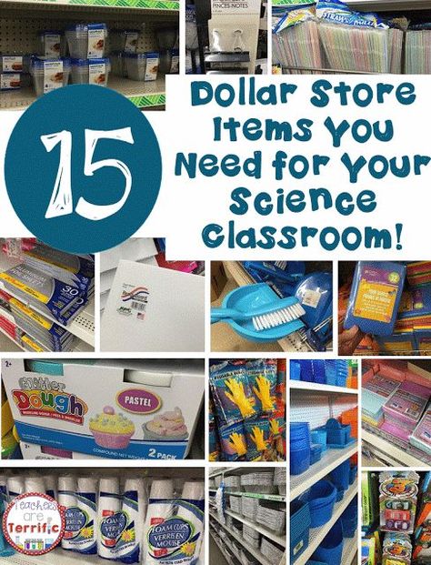 Stem Bins, Library Centers, Steam Classroom, Sixth Grade Science, Science Room, Science Classroom Decorations, Stem Lab, Stem Classroom, Primary Science