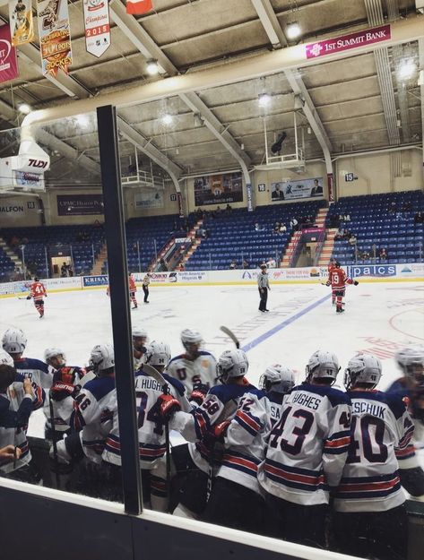 Odette Stone, Hockey Team Photos, Hockey Friends, Garret Graham, Team Usa Hockey, Stadium Wallpaper, Hockey Boy, Trevor Zegras, Hockey Girlfriend