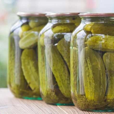 Moonshine Pickles Recipe Moonshine Pickles, Making Moonshine, Homemade Moonshine, Ole Smoky Moonshine, How To Make Moonshine, Pickles Recipe, Large Glass Jars, Cucumber Dill, Moonshine Recipes