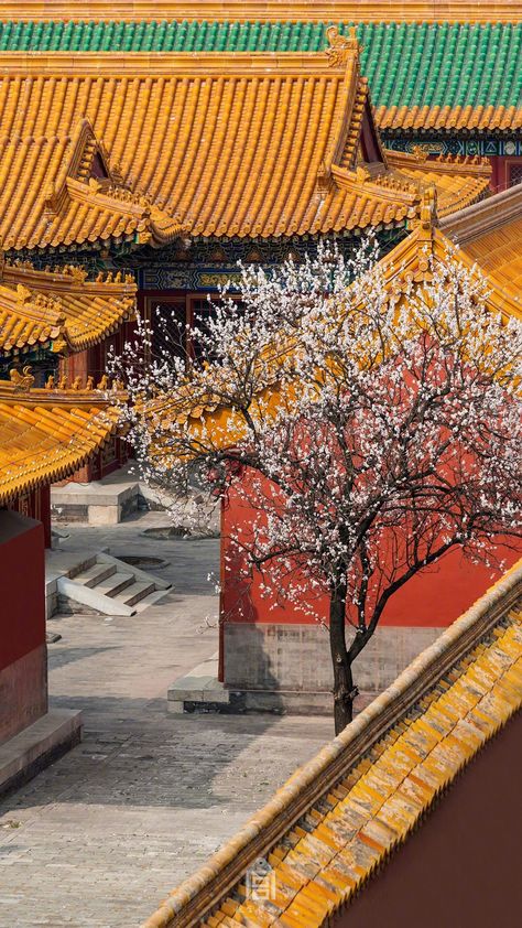 Cherry blossom 🌸 Iron Widow, Traditional Architect, Japanese Village, China Architecture, Ruyi's Royal Love In The Palace, Architecture City, Asian Architecture, Chinese Garden, Forbidden City