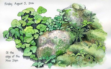 Plein Air study at the Moss Steps, by Carolyn Pappas. Moss Drawing Tutorial, How To Paint Moss, Boulder Illustration, Moss Reference, Watercolor Moss, Tortoise Painting, Moss Illustration, Moss Painting, Hyunjin Art