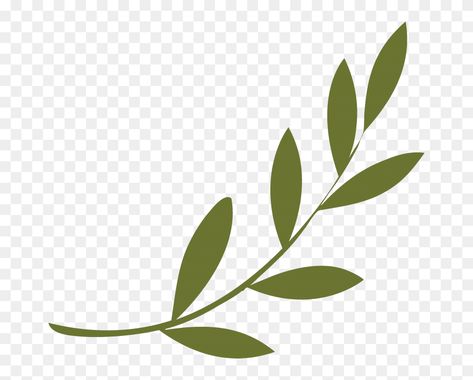 Branch Drawing, Leaf Symbol, Peace Symbols, Olive Wreath, Stencil Printing, Ministry Ideas, Olive Leaf, Free Clipart, Olive Branch