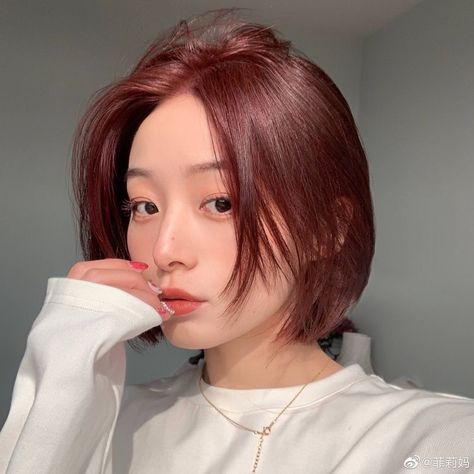 Red Short Hairstyles, Red Hair Color Short Haircuts, Short Straight Red Hair, Short Korean Hair, Red Hair Asian, Asian Red Hair, Korean Hair Color, Short Red Hair, Korean Short Hair