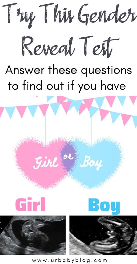 Try This Gender reveal Test. Answer these questions to find out if you have a boy or a girl #boyorgirl #genderreveal #pregnant #pregnancy #babysex Gender Reveal Couple Only, Ultrasound Pictures Gender, Ultrasound Gender Prediction, Gender Myths, Boy Or Girl Prediction, Pregnancy Quiz, Boy Ultrasound, Sibling Gender Reveal, Ultrasound Gender