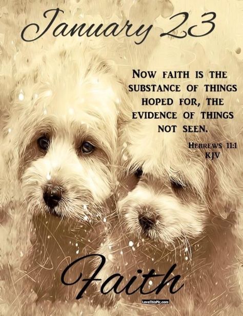 January 23 days faith puppies good morning january daily bible verse January 23 Blessings, December Scriptures, Words Of Faith, January Quotes, Faith Is The Substance, Bible Verses Kjv, Mom Prayers, Todays Verse, Daily Blessings