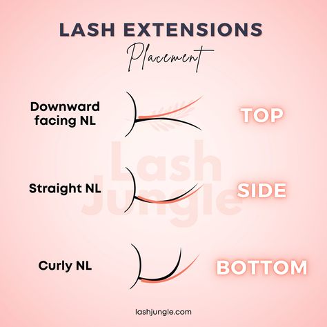 Top, side or bottom placement? 🤔 When it comes to placing lash extensions, it is 𝗜𝗠𝗣𝗢𝗥𝗧𝗔𝗡𝗧 to always check if you have the base properly attached (at least 2mm), without any gaps between the client’s natural lashes and the extension. 💡 Pro Tip: Don’t be afraid to attach lashes from different angles. Try top or side attachment for straight or downward facing natural lashes. For curly and perky natural lashes, attaching from the bottom is the best. Save this post for later! 📌 Eyelash Extension Placement, Lash Extension Placement, Lash Tips For Clients, Lash Extensions For Beginners, Lashes Tech, Lash Placement, Esthetics School, Single Lash Extensions, Lash Education