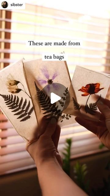 Diy Tea Bags, Bags Video, Diy Nature, Used Tea Bags, Tea Bag Art, Pressed Flower Crafts, Tea Diy, Paper Magic, School Glue