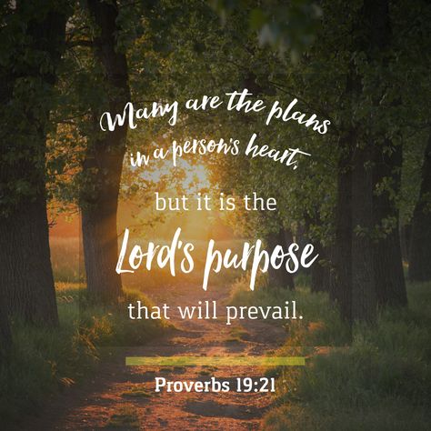 Proverbs 19 21, Proverbs 19, Proverbs 21, Old And New Testament, To Be Honest, Lord And Savior, Prayer Request, Powerful Quotes, Christian Living