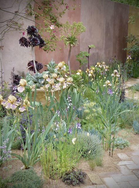 Sarah Price's Painterly Garden at the 2023 Chelsea Flower Show Chelsea Flower Show Gardens 2023, Chelsea Garden Show 2023, Sarah Price Chelsea 2023, Rhs Chelsea Flower Show 2023, Sarah Price Gardens, Chelsea Flower Show 2023, Cedric Morris, Jasmine Garden, Sarah Price