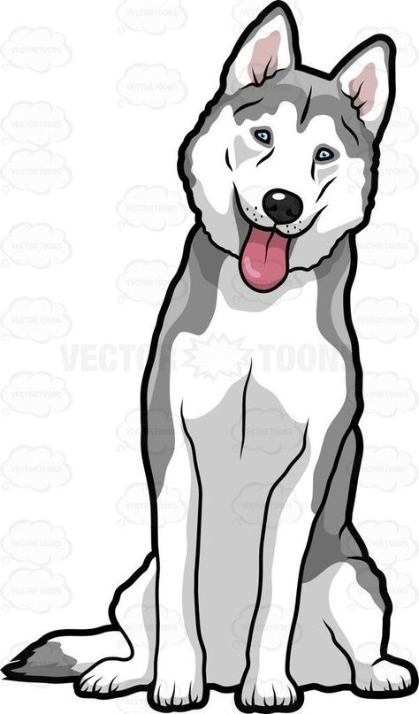 Cartoon Husky, Husky Clipart, Caine Husky, Husky Drawing, Cartoon Graphics, Cute Husky, Drawing Cartoon Characters, Cute Dog Pictures, A Husky