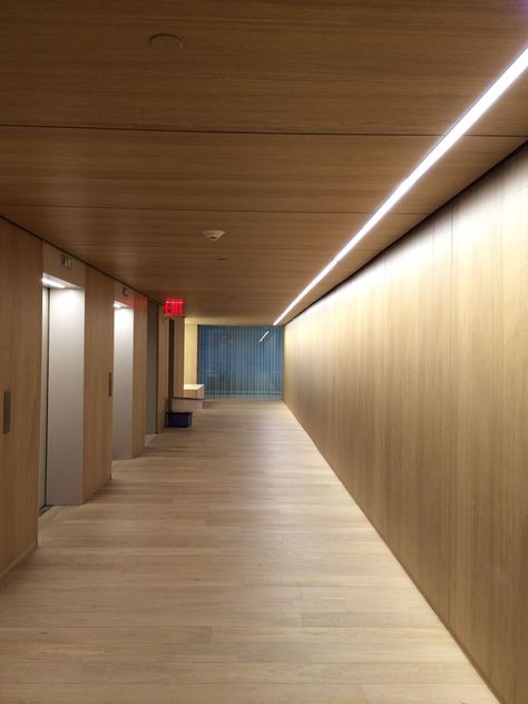 Shinnoki ivory oak walls. Matching plain sawn white American oak White Oak Paneling Walls, White Oak Wall Paneling, Oak Wall Paneling, White Oak Paneling, Wood Panel Lighting, Veneer Flooring, Commercial Lighting Design, Corridor Design, Oak Wall