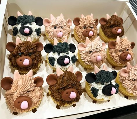 Highland Cow Cupcakes, Cow Cupcakes, Mini Highland Cow, Animal Cupcake, Cupcake Inspiration, Animal Cupcakes, How To Make Cupcakes, Themed Cupcakes, Cupcake Recipes