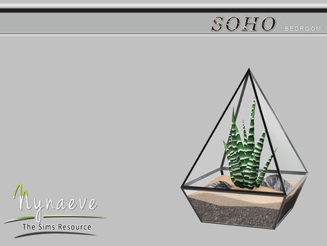 NynaeveDesign's Soho Haworthia Plant Terrarium Haworthia Terrarium, Sims Decor, Alpha Cc, Die Sims 4, Sims Baby, Cc Sims4, The Sims 4 Pc, Sims 4 Bedroom, Sims 4 Clutter