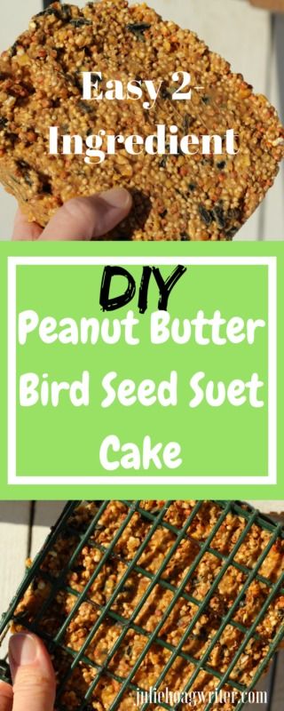 How To Make Birdseed Cakes, How To Make Bird Seed Cakes, Peanut Butter Bird Feeder Diy, Diy Bird Food Recipes, Bird Suet Recipes Homemade, Peanut Butter Bird Feeder, Bird Seed Cakes, Diy Peanut Butter, Peanut Bird Feeder