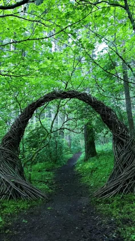 Magical Garden Fairytale, Forest Entrance, Forest Portal, Fairy Portal, September Vibes, Forest Room, Forest Gate, Stone Archway, Feeling Alive