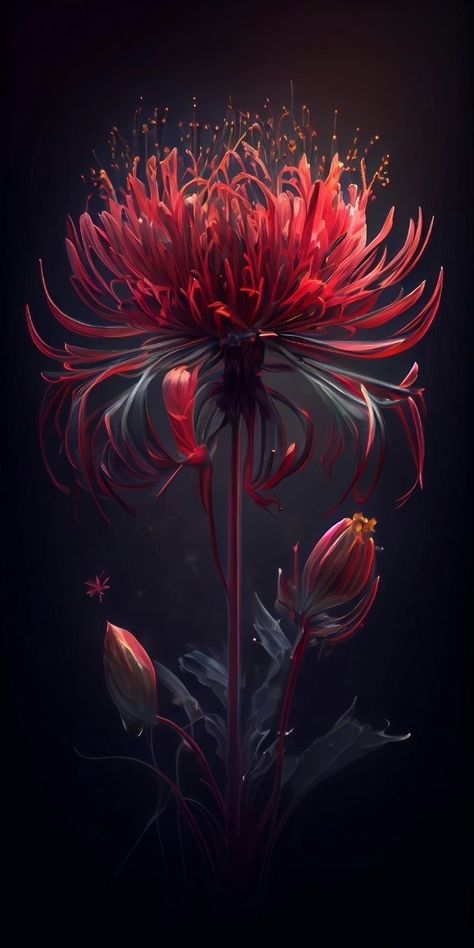 Spider Lilly Wallpapers, Lycoris Radiata, Spider Lilies, Digital Art Software, Lily Wallpaper, Red Spider Lily, Spider Lily, Flowery Wallpaper, Japon Illustration