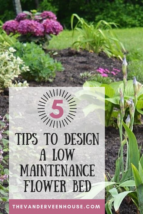 5 of the best tips for designing and planting a low maintenance perennial flower  bed. These are some easy garden design ideas that you can use to increase the curb appeal of your home. #gardendesign #gardendesignideas #lowmaintenancegarden #perennialgarden Low Maintenance Flower Bed, Perennial Garden Design, Simple Garden Designs, Flower Garden For Beginners, Front Flower Beds, Start A Garden, Flower Bed Designs, Garden For Beginners, Simple Garden