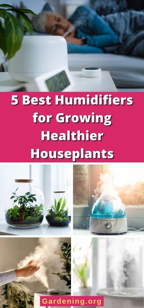 Humidifiers can increase the health and comfort of your home for you and for your plants. These top choices include electricity-free options. Plant Humidifier, Growing Vegetables Indoors, Small Humidifier, Best Humidifier, Humidifier Essential Oils, Tiny Plants, Cool Mist Humidifier, Plant Decor Indoor, Humidifiers