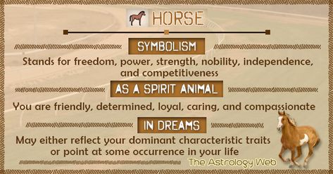 Horse Meaning and Symbolism | The Astrology Web Horse Meaning, Horse Spirit Animal, Animal Totem Spirit Guides, Spirit Animal Meaning, Animal Meanings, Spirit Animal Totem, Animal Spirit Guide, Animal Spirit Guides, Animal Medicine