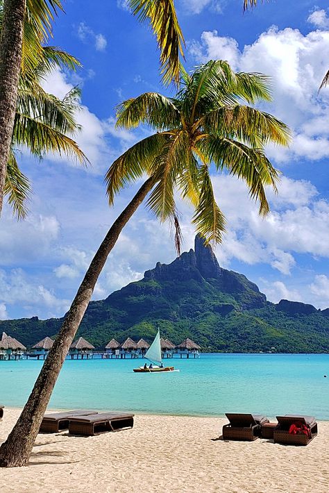 Mon voyage en Polynésie Française - Yulair.com Fifa 1, Life Is Wonderful, Tahiti French Polynesia, Travel Mood, Landscape Quilts, French Polynesia, Ocean Breeze, Bora Bora, Travel Goals