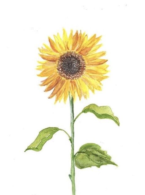 Sunflower Watercolor Painting, Watercolor Supplies, Sunflower Drawing, Sweet William, Wall Bathroom, Sunflower Wallpaper, Watercolor Prints, Sunflower Art, Sunflower Painting