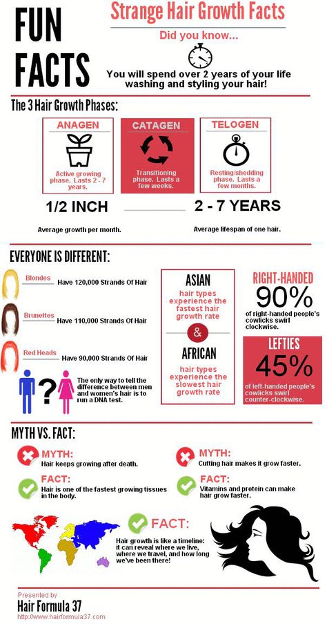 Fun Hair Facts, Hair Fun Facts, Facts About Hair, Curl Specialist, Hair Knowledge, Beauty School Cosmetology, Interesting Facts About Humans, Facts Infographic, Hair Formula