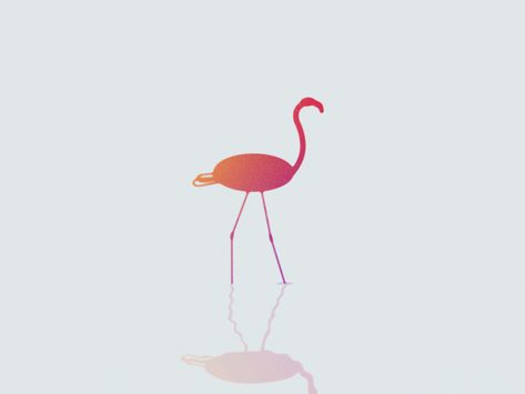 Flamingo Animation, Flamingo Vector, Video Frame, Vector Animation, Motion Design Animation, Design Animation, Game Characters, Animation Design, Ad Design