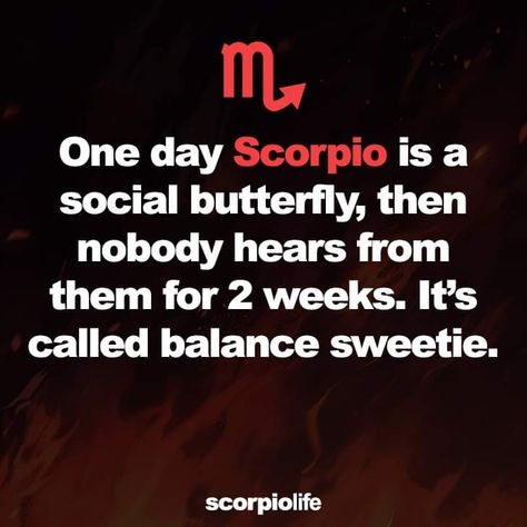 Scorpio Man Personality, Scorpio Signs, November Scorpio, Scorpio Power, Cusp Signs, Scorpio Queen, Zodiac Quotes Scorpio, Lady Scorpio, Scorpio Traits