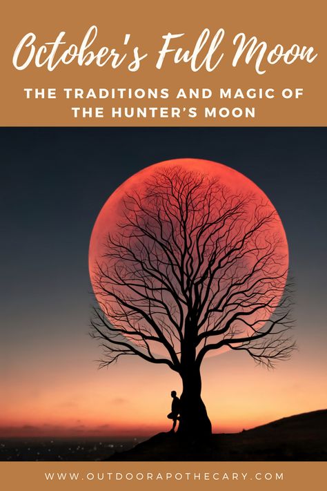 Dive into the mystical energy of October’s Full Moon, known as the Hunter’s Moon. Explore its rich folklore and spiritual significance, perfect for adding magic to your autumn rituals. #FullMoon #HunterMoon #OctoberMagic Hunter’s Full Moon, Hunters Full Moon Ritual, October Full Moon Ritual, Full Moon October 2024, Hunter Moon Ritual, Hunters Moon Ritual, Autumn Rituals, October Full Moon, October Magic