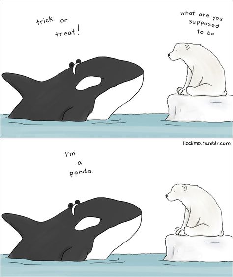 Shark Comic, Liz Climo Comics, Liz Climo, Halloween Meme, Funny Animal Comics, Halloween Memes, Meme Comics, Halloween Illustration, Funny Illustration