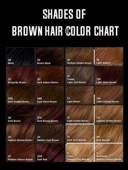 Share image Hair Wishlist, Shades Of Brown Hair, Hair Color Names, Brown Hair Color Chart, Hair Chart, Brown Hair Color Shades, Golden Brown Hair Color, Rambut Brunette, Golden Brown Hair