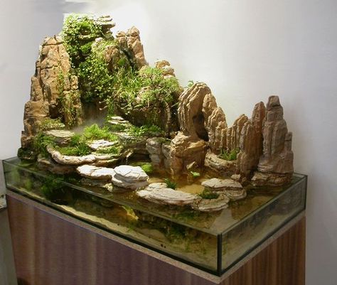 Paludarium with Large Rock Feature Tanaman Air, Kolam Air, Kolam Koi, Taman Air, Aquarium Terrarium, Aquarium Landscape, Turtle Tank, Aquascape Aquarium, Home Aquarium