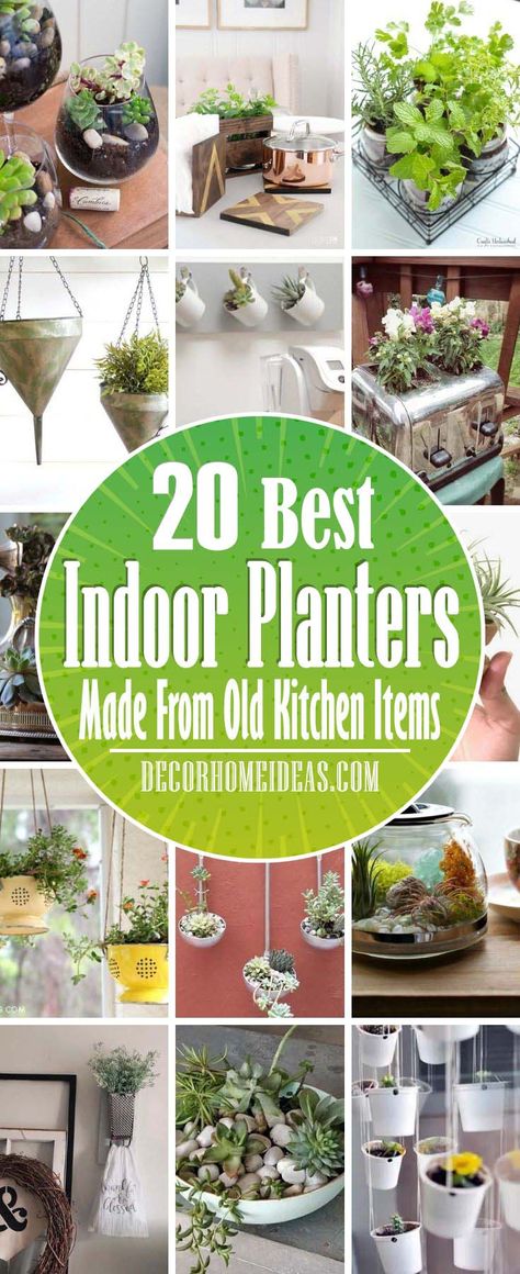 Best Indoor Planters From Old Kitchen Items. Before you toss that old pie plate or utensil in the trash consider giving it a second life. Here are more than 20 DIY indoor planters made from old kitchen stuff. #decorhomeideas Plant Pot Recycle Ideas, Kitchen Planter Ideas, Rustic Planters Indoor, Unusual Containers For Plants, Shallow Planter Ideas Indoor, Plant Pot Alternatives, Indoor Planters Ideas, Alternative Plant Pots, Indoor Plant Pot Ideas Diy Planters