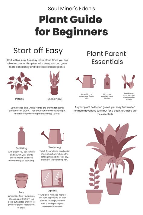 New Plant Mom, Plant Beginner Guide, Starting A Plant Business, Indoor Plant Care Guide, Plant Witch, Plant Nanny, Plants Tips, Tips And Trick, Outdoor Greenhouse