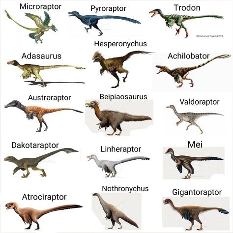 Dinosaurs 17 Primeval Creatures Art, Jurassic Dinosaurs, Types Of Dinosaurs, Dinosaur Types, Dinosaur Species, Dinosaur Books, Prehistoric Animals Dinosaurs, Raptor Dinosaur, Dinosaur Sketch