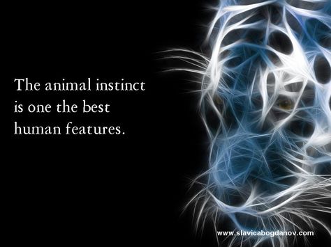 The animal instinct is one the best human features. http://www.slavicabogdanov.com    #quote #inspiration Instinct Quotes, Human Features, Failing Marriage, Human Instincts, Share Quotes, Animal Instinct, Survival Instinct, Quotes By Authors, Quote Inspiration