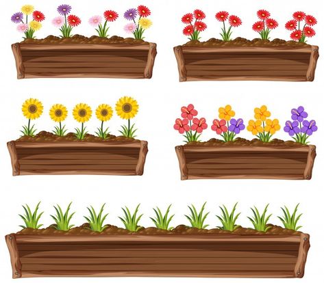 Flowers In Clay, Wooden Pot, Garden Clipart, Animated Pictures, Planting Sunflowers, Tree Icon, Imaginary Boyfriend, Long Flowers, Kindergarten Math Activities