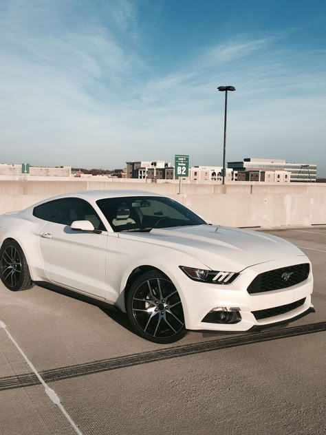 2017 Mustang, Shelby Mustang Gt500, Mobil Mustang, White Cars, Car Wheels Diy, Mustang Gt500, Shelby Mustang, Ford Mustang Shelby Gt500, 2015 Mustang