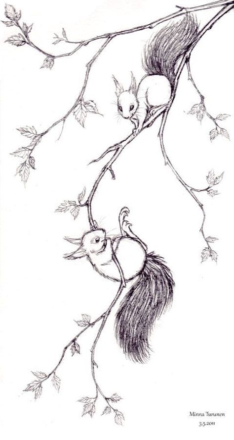 Draw A Squirrel, Squirrel Tattoo, Climbing A Tree, Squirrel Art, Arte Doodle, Spring Games, Painting Spring, A Squirrel, Birch Trees