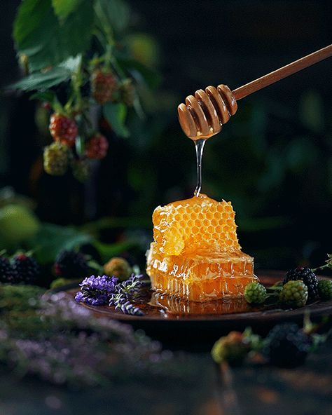 Honey Aesthetic, Honey Art, Honey Photography, Dark Food Photography, Honey Packaging, Forest Witch, Food Art Photography, Instagram Kitchen, Fruit Photography