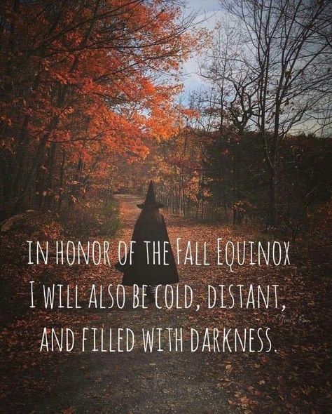 Happy Autumn, Creepy Facts, Autumn Magic, Horror Lovers, Witchy Decor, Autumn Quotes, Season Of The Witch, Fabulous Fall, Witchy Vibes