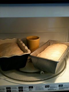 Proofing Bread, Microwave Bread, Bread Proofer, Bread Substitute, Hot Bread, Breads & Buns, Bun In The Oven, Single Oven, Bread Machine Recipes