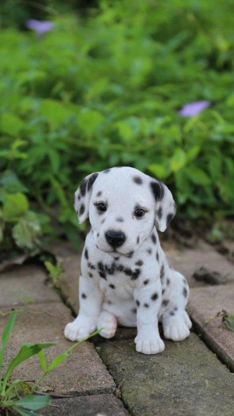 Baby Pug, Regnul Animal, Dalmatian Puppy, Baby Animals Pictures, Baby Animals Funny, Golden Retriever Puppy, Cute Dogs And Puppies