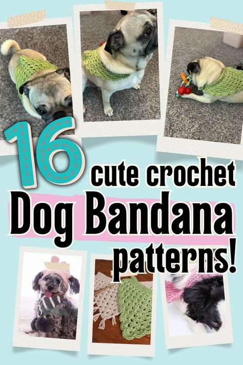 How to Crochet a Dog Bandana (16 Cute Patterns!) Crochet Dog Bandana Free Pattern Easy, Pet Crochet Patterns Free, Crochet Dog Bandana, Crochet Dog Collar, Dog Bandana Tutorial, Cute Crochet Dog, Collar Patterns, Crochet Pets, Weave Braid