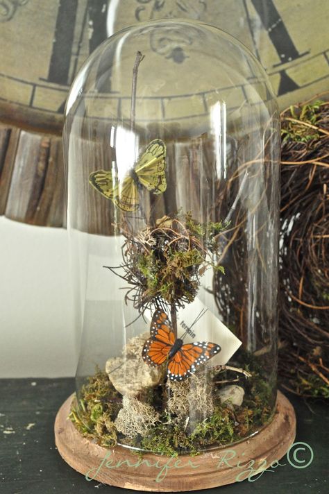 Jennifer Rizzo: Make a faux terrarium out of a thrift store clock case.... Faux Terrarium, Glass Cloche Decor, Cloche Decor, Diy Terrarium, Deco Nature, Old Clocks, Glass Cloche, Terrarium Diy, Botanical Decor