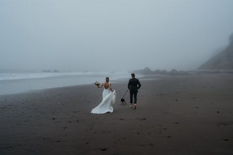 Intimate Southern Oregon Coast Wedding at Crook Point | Henry Tieu Photography Moody Coastal Wedding, Henry Tieu, Elegant Intimate Wedding, Moody Coastal, Oregon Coast Wedding, Dinner Reception, Southern Oregon Coast, Intimate Wedding Reception, Intimate Wedding Venues