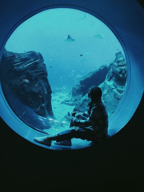 Underwater Poses Reference, Aquarium Aesthetic Art, Aquarium Photoshoot Aesthetic, Person In Aquarium, Underwater Aethstetic, Aquarium Poses Aesthetic, Aquarium Pictures, Arte Peculiar, Cinematic Photography