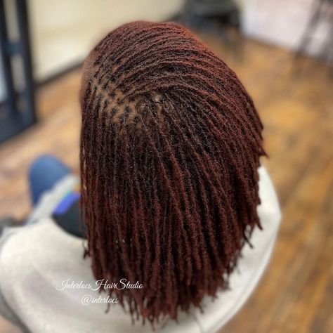 Sister Lock Styles, Colored Sisterlocks, Dred Locks, Microloc Journey, Black Hair Inspiration, Hair Facts, Sisterlocks Styles, Micro Locs, Braided Hairstyles For Black Women Cornrows