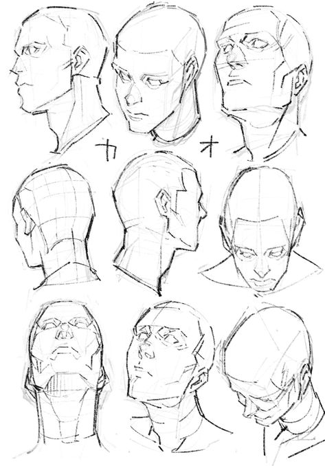 Male Face Anatomy Drawing, Drawing Head Perspective, Perspective Head Reference, Face From Below Drawing, Face Drawing Perspective, Head Tilting Up, Human Face Reference Drawing, Looking Up Head Reference, How To Draw A Face 3/4 View