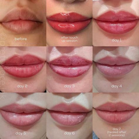 Lip Blush Healing Process - Day by Day Timeline and Stages Lip Blushing Tattoo Healing Stages, Lip Tattoo Healing Process, Lip Blushing Healing Process, Pmu Lips Healing Process, Lipblush Before And After, Healed Lip Blush, Lip Filler Healing Stages, Lip Blushing Colors, Lip Blushing Tattoo Healing